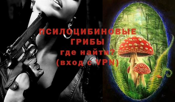 эйфоретик Белокуриха