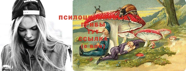 индика Белоозёрский