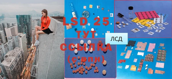 индика Белоозёрский