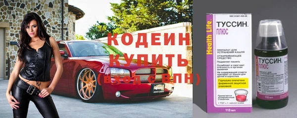 индика Белоозёрский
