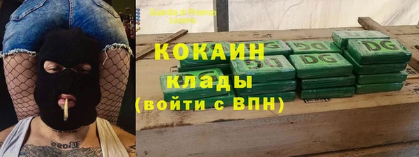 индика Белоозёрский
