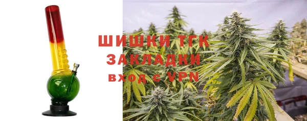 индика Белоозёрский