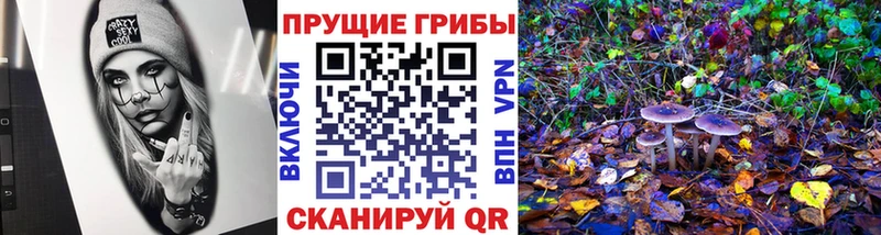hydra вход  продажа наркотиков  Минеральные Воды  Галлюциногенные грибы Magic Shrooms 