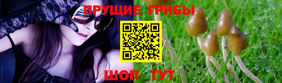Минеральные Воды  Псилоцибиновые грибы мицелий  Вход с VPN  Галлюциногенные грибы Cubensis 