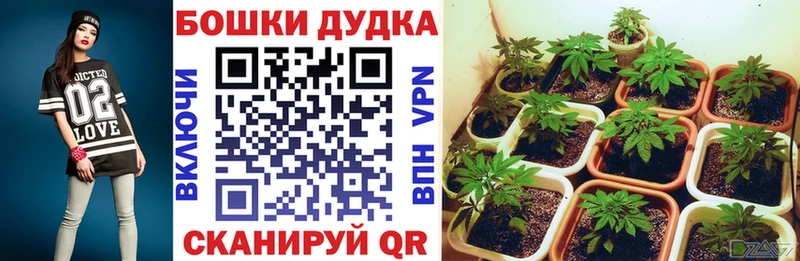 Конопля марихуана Минеральные Воды